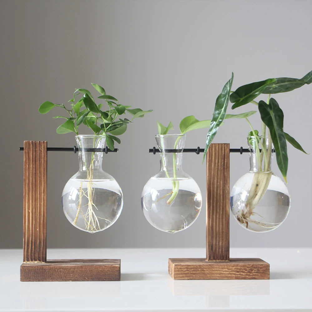 EcoSprout – Hydroponic Desktop Planter