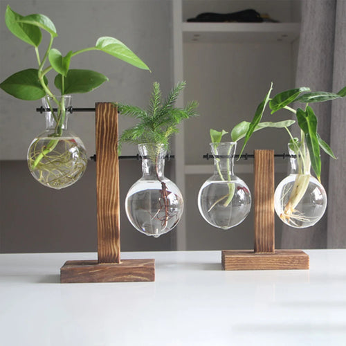 EcoSprout – Hydroponic Desktop Planter
