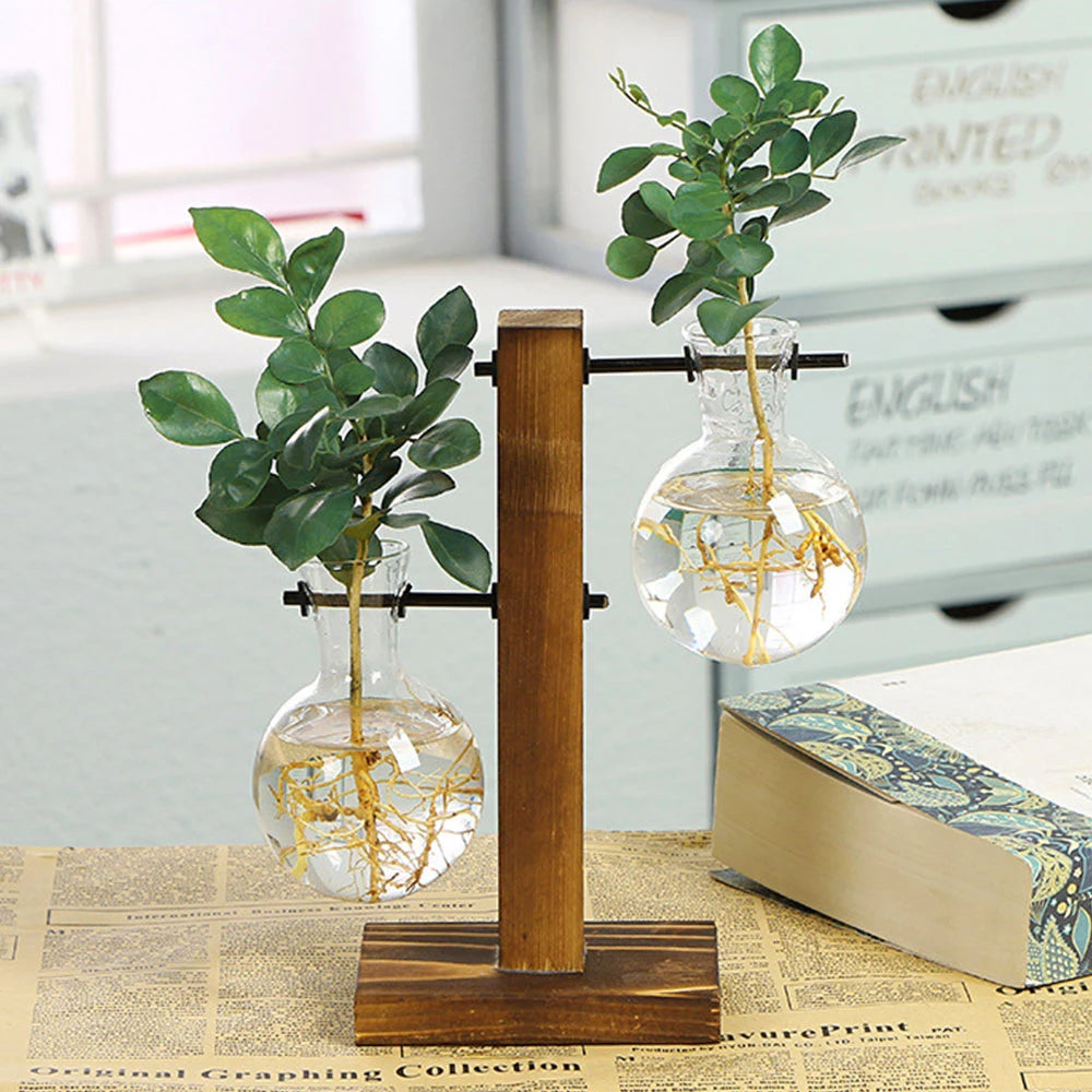 EcoSprout – Hydroponic Desktop Planter