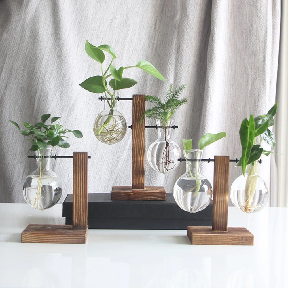 EcoSprout – Hydroponic Desktop Planter